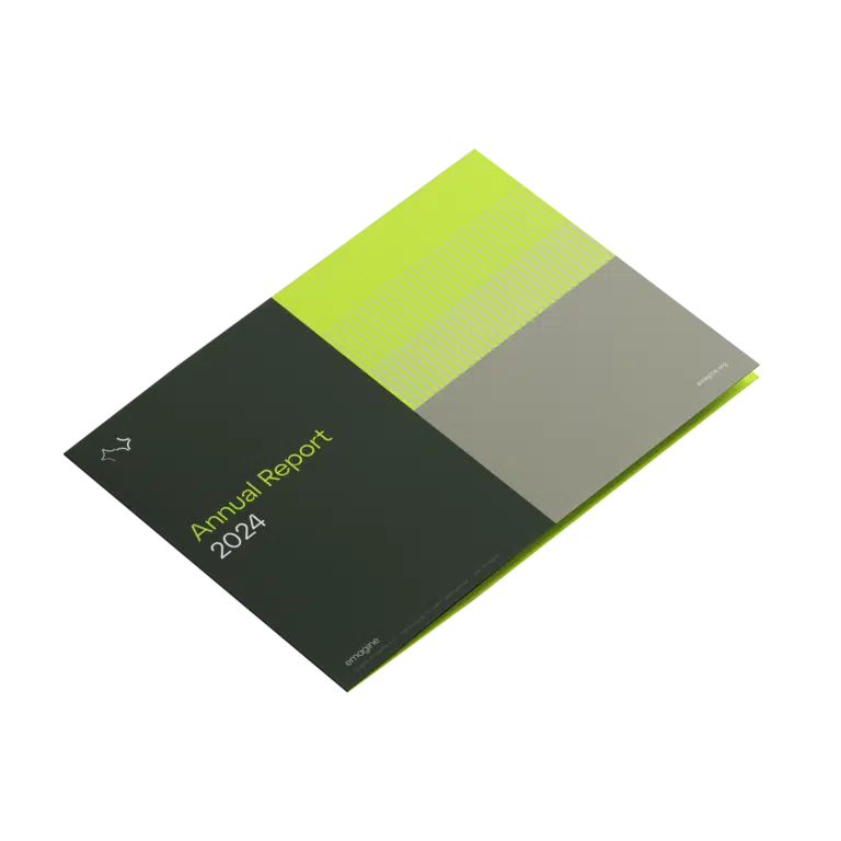 Annual report 2024